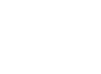 Chief Executive Officer